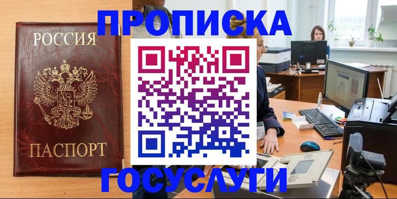 где прописаться в Коле